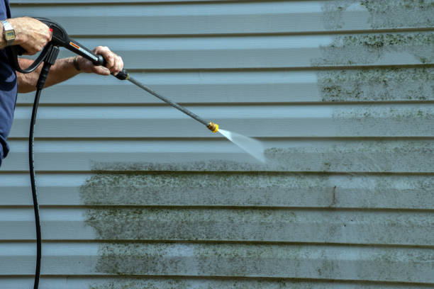 Best Deck Cleaning Services  in Hustisford, WI